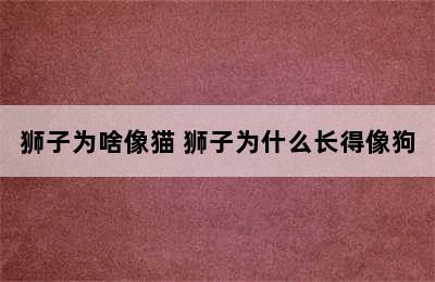 狮子为啥像猫 狮子为什么长得像狗